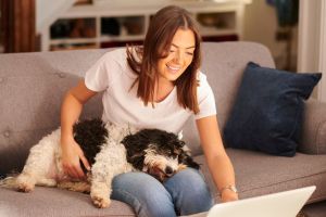 Pet Insurance