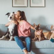 Pet Insurance
