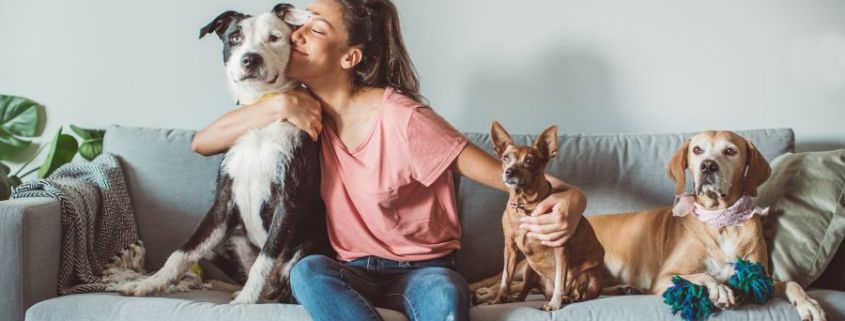 Pet Insurance