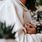 Cat Insurance Spain.