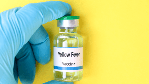 Essential Guide to Yellow Fever Vaccine: What You Need Before Your Vacation.
