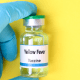 Essential Guide to Yellow Fever Vaccine: What You Need Before Your Vacation.