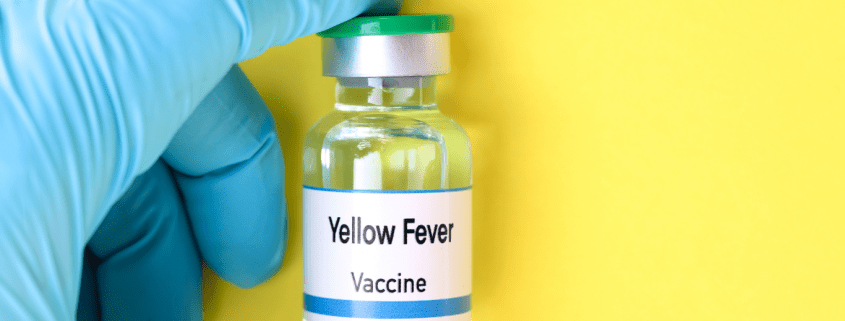 Essential Guide to Yellow Fever Vaccine: What You Need Before Your Vacation.