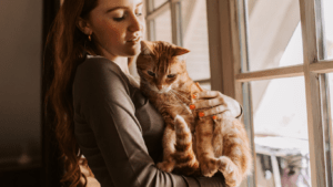 Pet Insurance for Older Cats