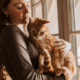Pet Insurance for Older Cats
