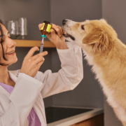 does pet insurance cover vaccines