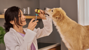 does pet insurance cover vaccines