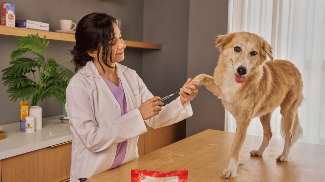 does pet insurance cover vaccines