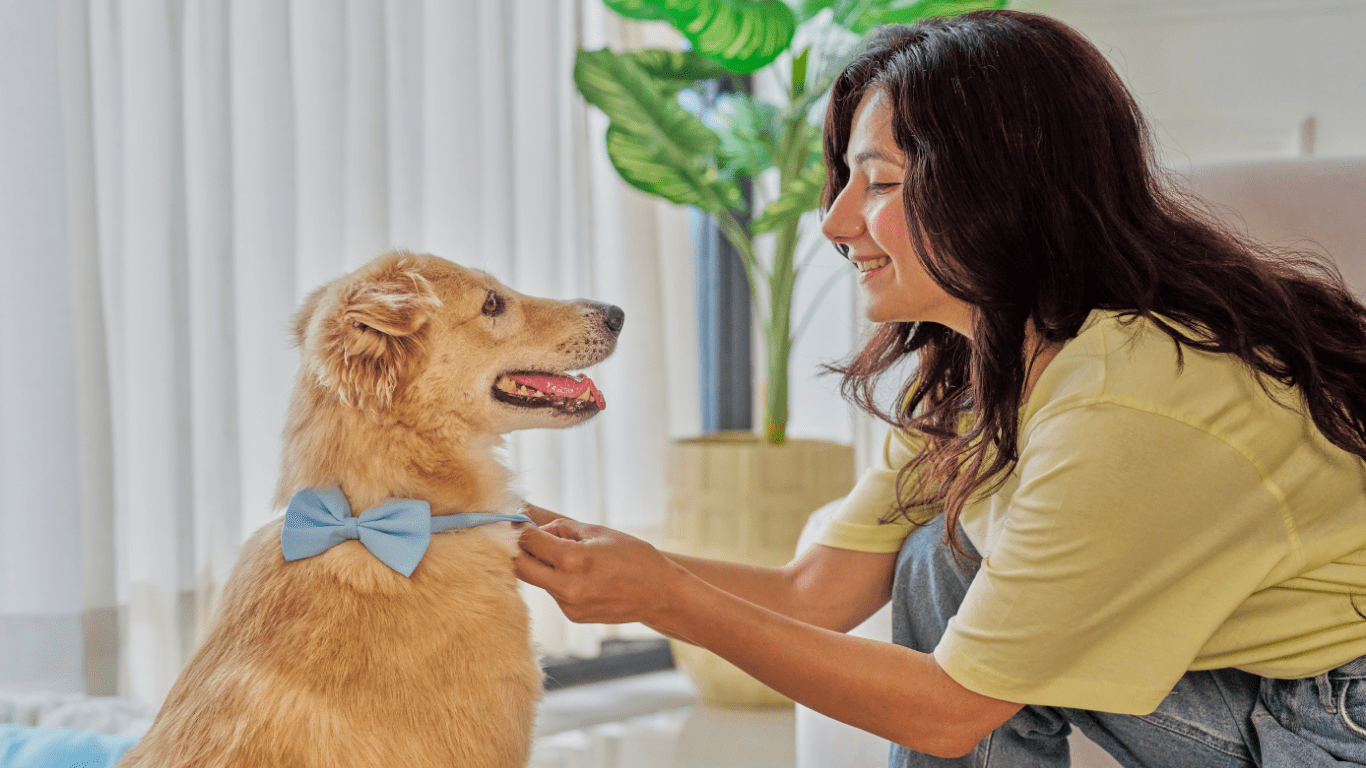 Pet Insurance for Your Diabetic Dog