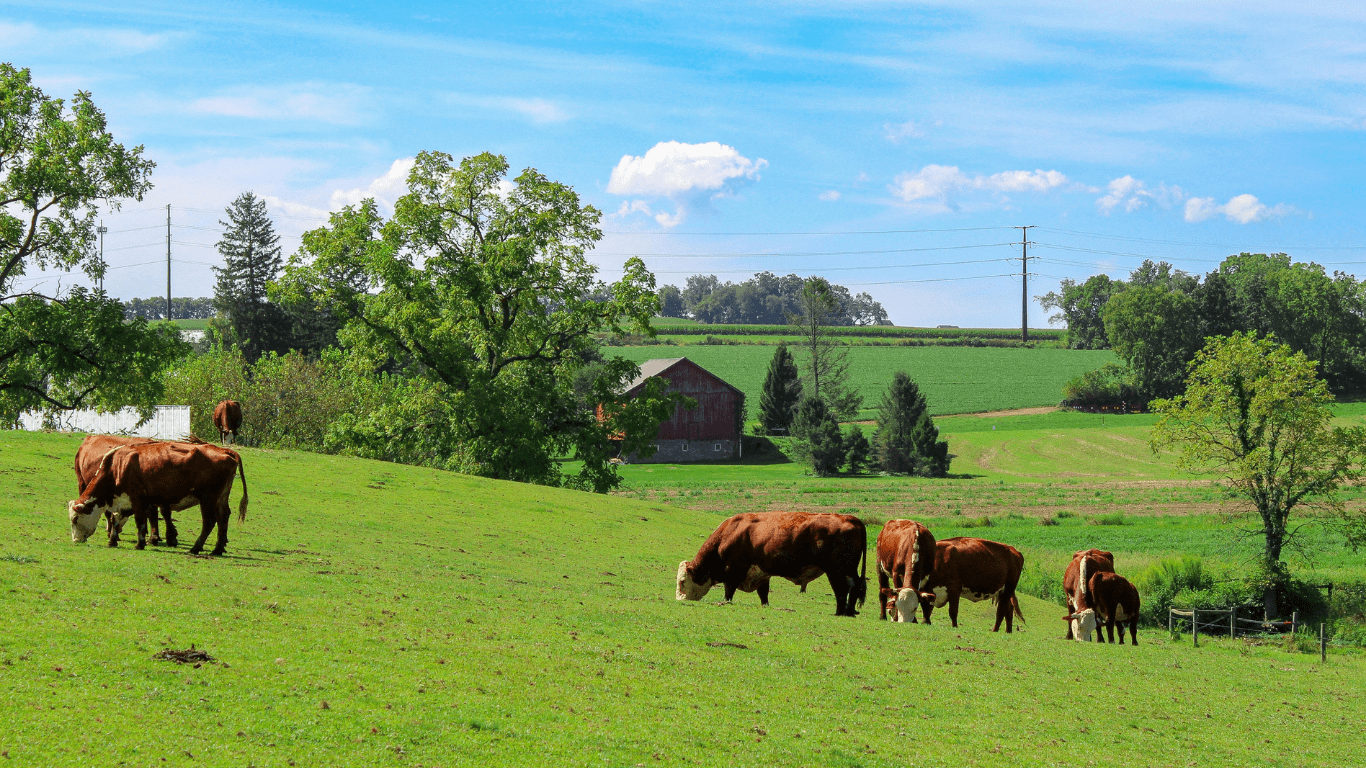 What is Farm Insurance