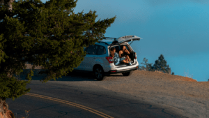 car insurance for rental car