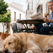 British expat relaxing with dog in Marbella knowing their liability is covered.