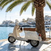 A classic Italian Vespa scooter parked neatly next to a palm tree on a sunny promenade.