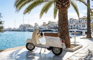 A classic Italian Vespa scooter parked neatly next to a palm tree on a sunny promenade.