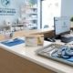 Senior dog sitting on a stainless steel examination table at a veterinary clinic in Spain.